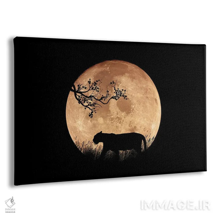 تابلو شب آسیایی اثر مانجیک پیکچرز (استودیو عکاسی یا فیلمسازی) - نمای پرسپکتیو محصول