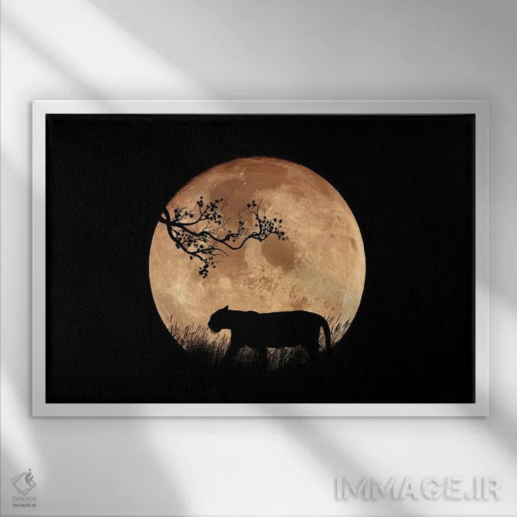 تابلو شب آسیایی اثر مانجیک پیکچرز (استودیو عکاسی یا فیلمسازی) - نمای قابدار سفید