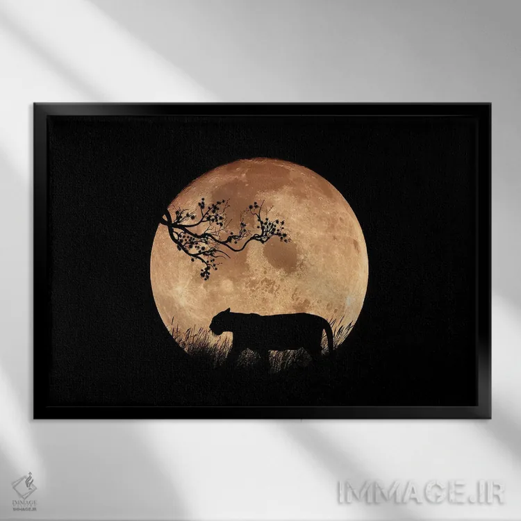 تابلو شب آسیایی اثر مانجیک پیکچرز (استودیو عکاسی یا فیلمسازی) - نمای قابدار مشکی