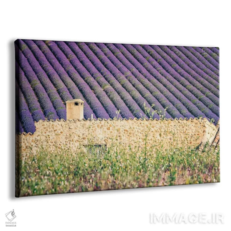 تابلو خانه در میان اسطوخودوسها اثر مانجیک پیکچرز (استودیو عکاسی یا فیلمسازی) - نمای پرسپکتیو محصول