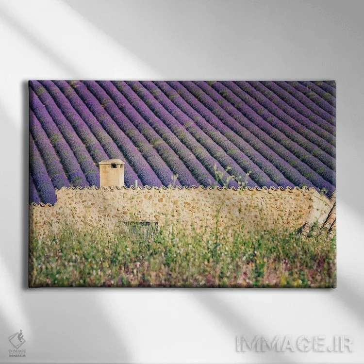 تابلو خانه در میان اسطوخودوسها اثر مانجیک پیکچرز (استودیو عکاسی یا فیلمسازی) - نمای روبهرو روی دیوار