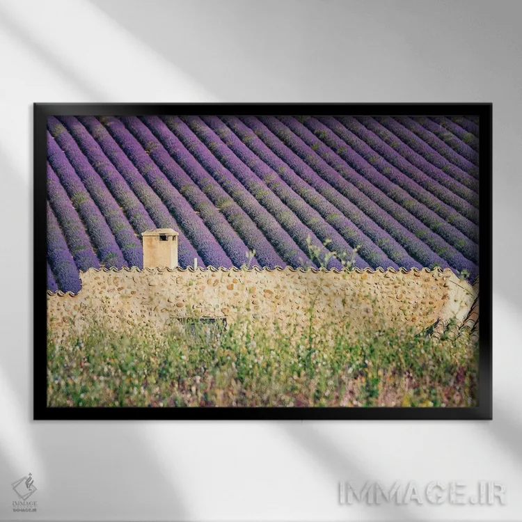 تابلو خانه در میان اسطوخودوسها اثر مانجیک پیکچرز (استودیو عکاسی یا فیلمسازی) - نمای قابدار مشکی