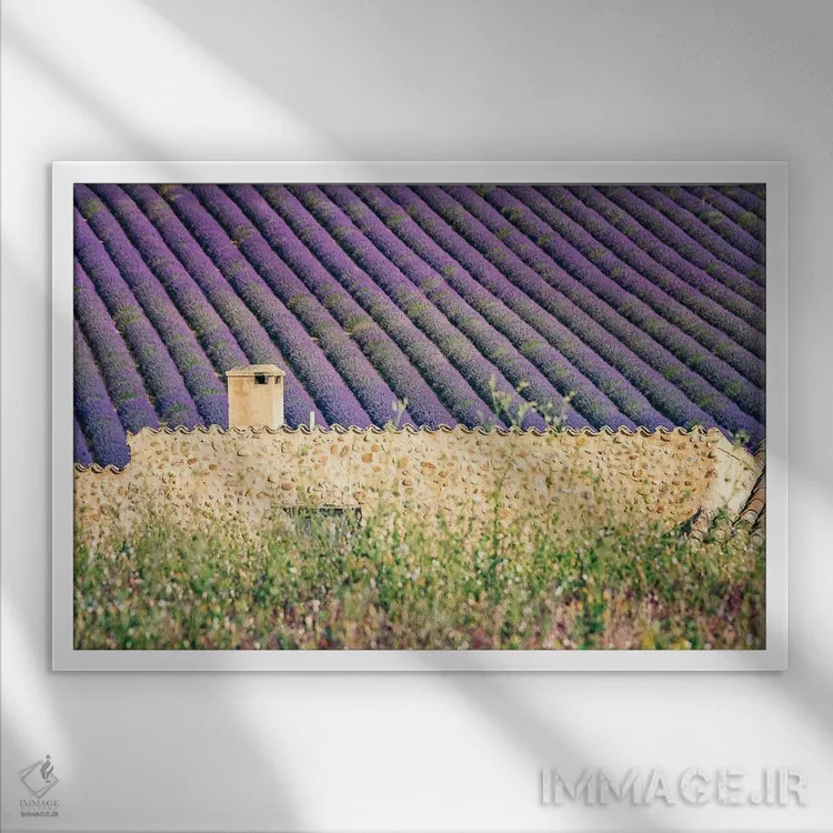 تابلو خانه در میان اسطوخودوسها اثر مانجیک پیکچرز (استودیو عکاسی یا فیلمسازی) - نمای قابدار سفید