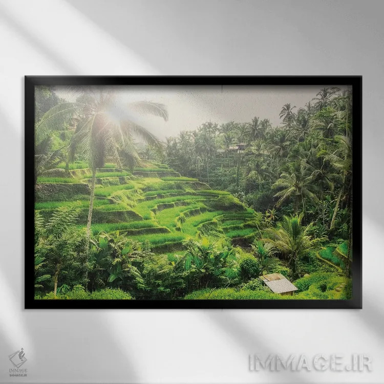 تابلو تگالالانگ (بالی) اثر مانجیک پیکچرز (استودیو عکاسی یا فیلمسازی) - نمای قابدار مشکی