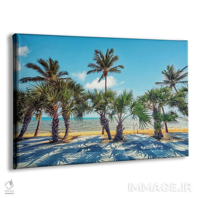 تابلو نخلها کنار دریا اثر مانجیک پیکچرز (استودیو عکاسی یا فیلمسازی) - نمای پرسپکتیو محصول