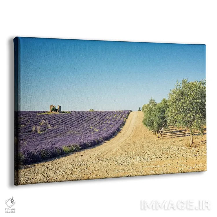 تابلو اسطوخودوس در برابر درختان زیتون اثر مانجیک پیکچرز (استودیو عکاسی یا فیلمسازی) - نمای پرسپکتیو محصول