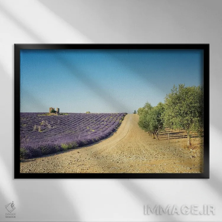 تابلو اسطوخودوس در برابر درختان زیتون اثر مانجیک پیکچرز (استودیو عکاسی یا فیلمسازی) - نمای قابدار مشکی