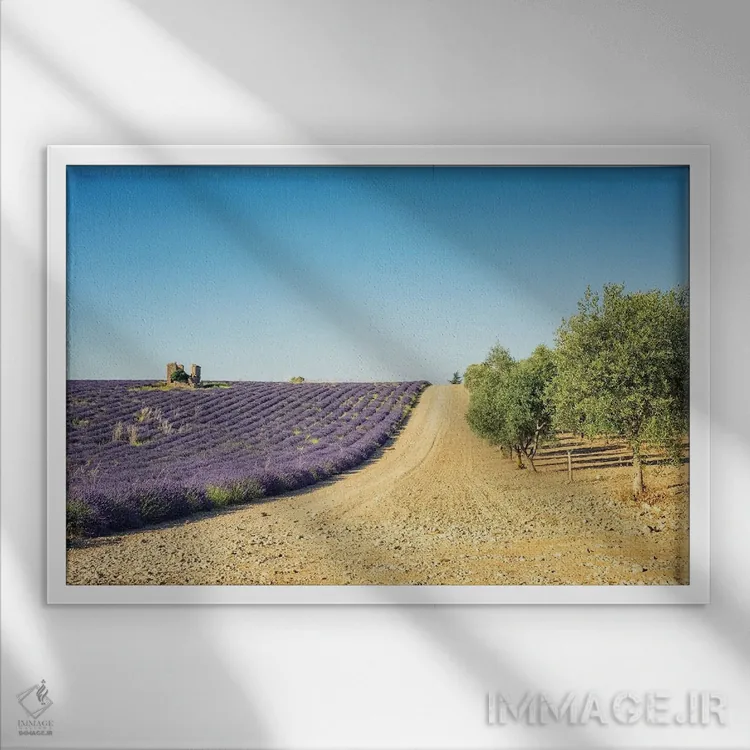 تابلو اسطوخودوس در برابر درختان زیتون اثر مانجیک پیکچرز (استودیو عکاسی یا فیلمسازی) - نمای قابدار سفید