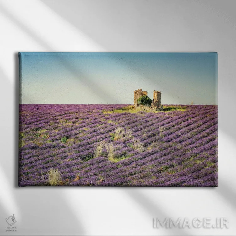 تابلو ویرانه در میان اسطوخودوسها اثر مانجیک پیکچرز (استودیو عکاسی یا فیلمسازی) - نمای روبهرو روی دیوار