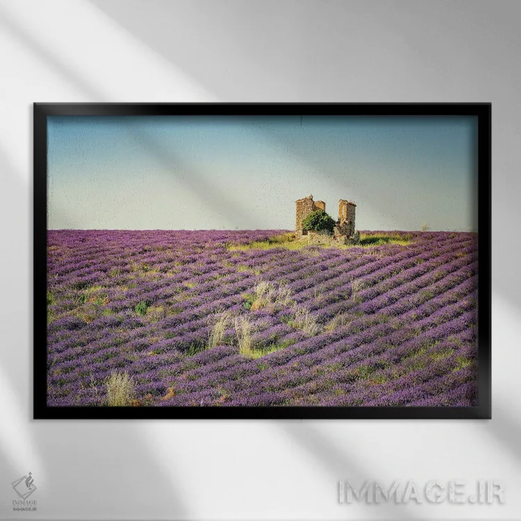 تابلو ویرانه در میان اسطوخودوسها اثر مانجیک پیکچرز (استودیو عکاسی یا فیلمسازی) - نمای قابدار مشکی