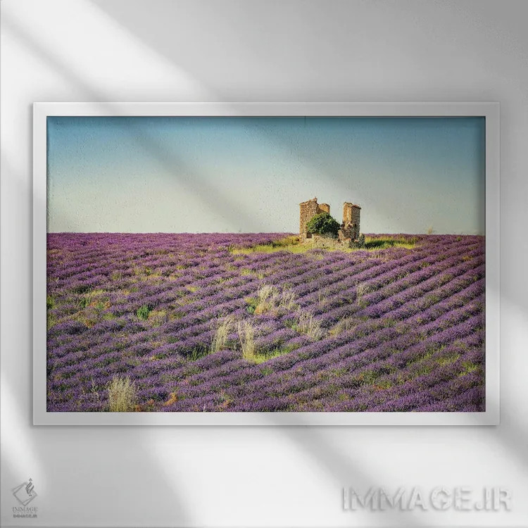 تابلو ویرانه در میان اسطوخودوسها اثر مانجیک پیکچرز (استودیو عکاسی یا فیلمسازی) - نمای قابدار سفید