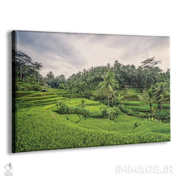 تابلو حومهٔ بالی اثر مانجیک پیکچرز (استودیو عکاسی یا فیلمسازی) - نمای پرسپکتیو محصول