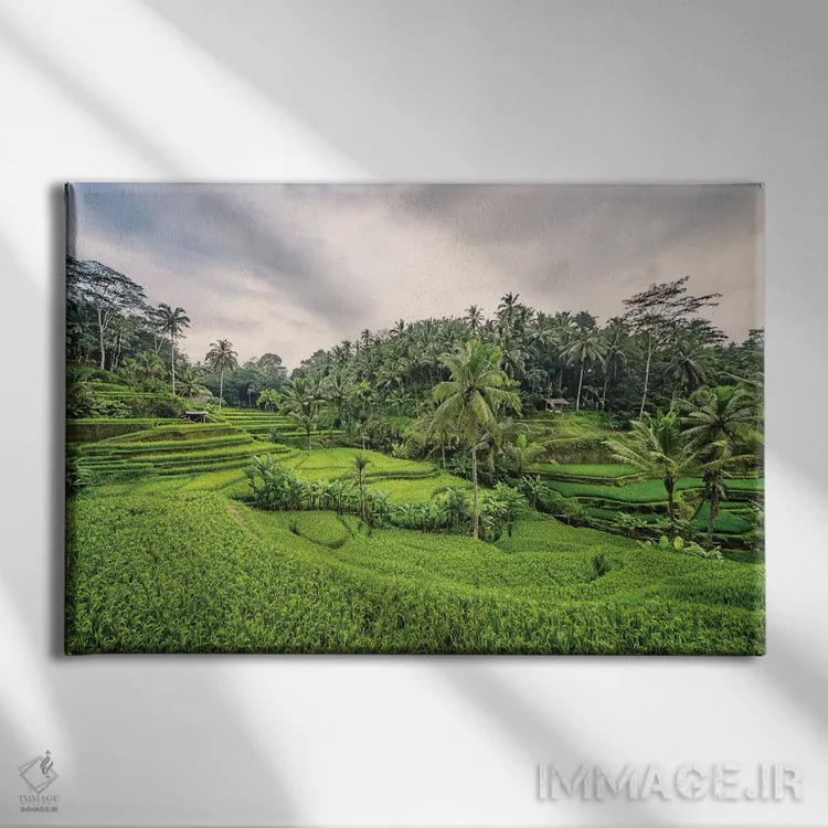 تابلو حومهٔ بالی اثر مانجیک پیکچرز (استودیو عکاسی یا فیلمسازی) - نمای روبهرو روی دیوار