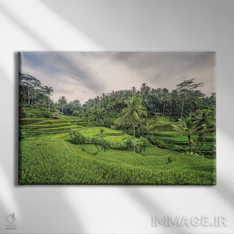 تابلو حومهٔ بالی اثر مانجیک پیکچرز (استودیو عکاسی یا فیلمسازی) - نمای روبهرو روی دیوار