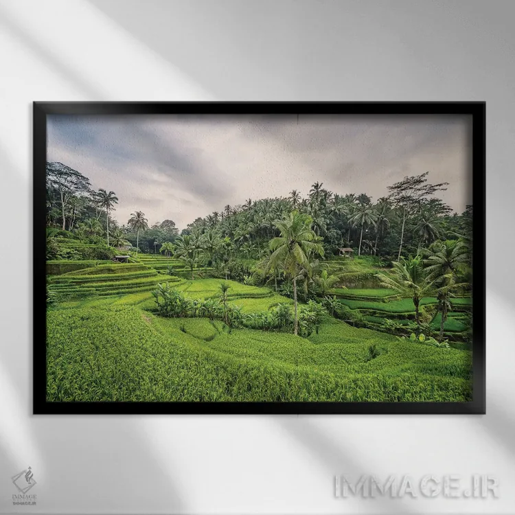 تابلو حومهٔ بالی اثر مانجیک پیکچرز (استودیو عکاسی یا فیلمسازی) - نمای قابدار مشکی