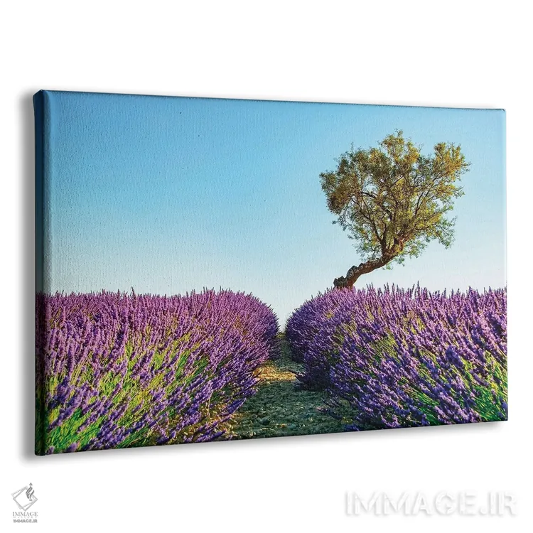 تابلو پروانس (منطقهای در جنوب فرانسه) اثر مانجیک پیکچرز (استودیو عکاسی یا فیلمسازی) - نمای پرسپکتیو محصول