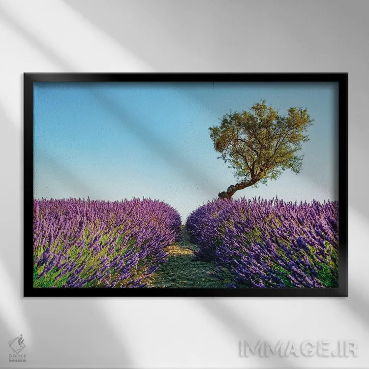 تابلو پروانس (منطقهای در جنوب فرانسه) اثر مانجیک پیکچرز (استودیو عکاسی یا فیلمسازی) - نمای قابدار مشکی