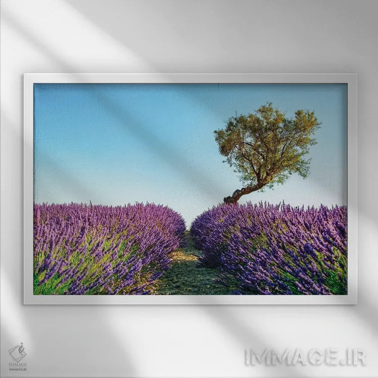 تابلو پروانس (منطقهای در جنوب فرانسه) اثر مانجیک پیکچرز (استودیو عکاسی یا فیلمسازی) - نمای قابدار سفید