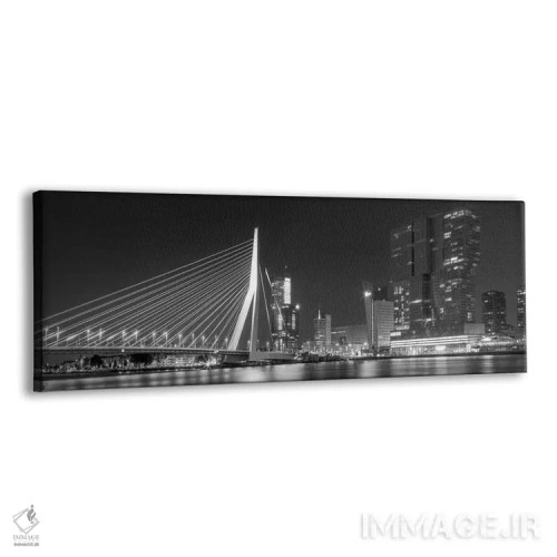 تابلو پل عظیم اراسموس روتردام در شب اثر ملانی ویولا - نمای پرسپکتیو محصول