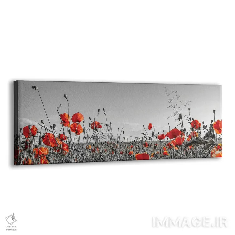 تابلو مزرعه زیبای شقایق | نمای پانوراما اثر ملانی ویولا - نمای پرسپکتیو محصول