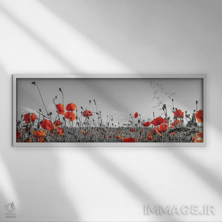 تابلو مزرعه زیبای شقایق | نمای پانوراما اثر ملانی ویولا - نمای قابدار سفید