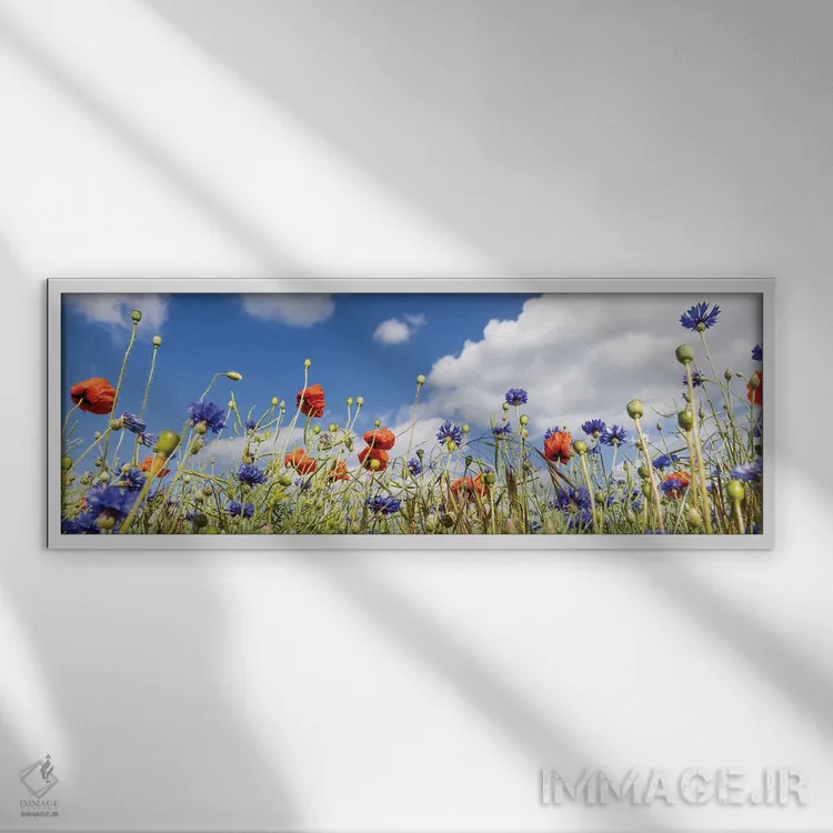 تابلو مزرعه شقایق با گل گندم | نمای پانوراما اثر ملانی ویولا - نمای قابدار سفید