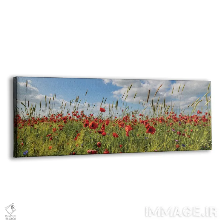 تابلو مزرعه شقایق با ذرت اثر ملانی ویولا - نمای پرسپکتیو محصول