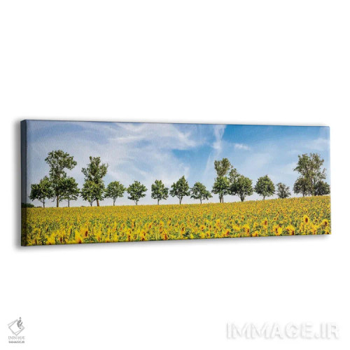 تابلو شگفتی آفتابگردانها اثر ملانی ویولا - نمای پرسپکتیو محصول