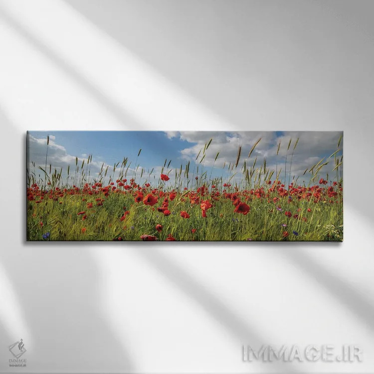 تابلو مزرعه شقایق با ذرت اثر ملانی ویولا - نمای روبهرو روی دیوار