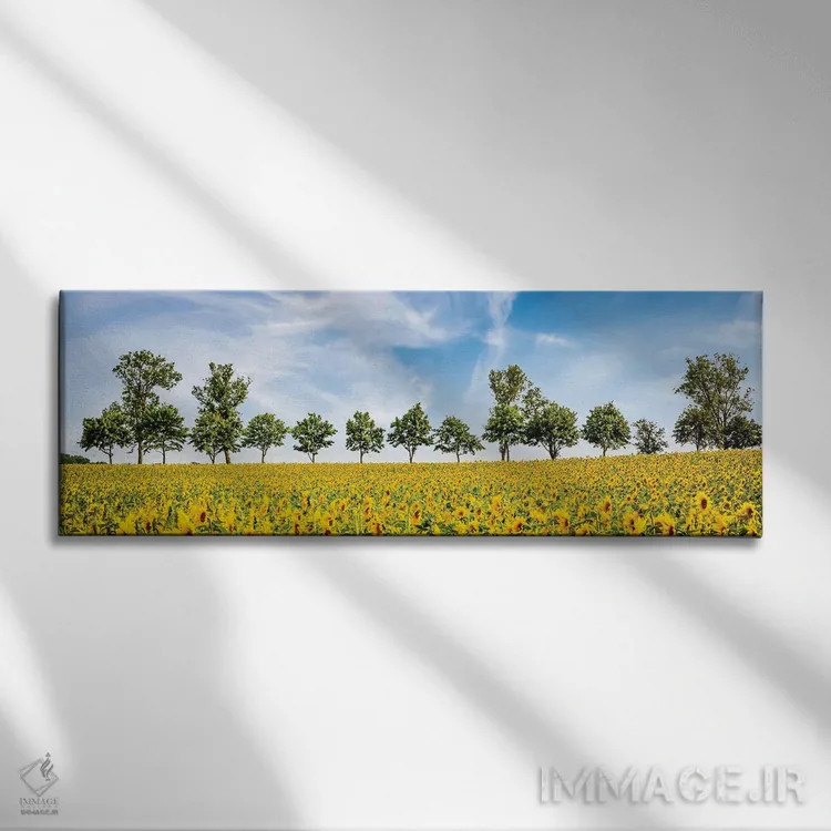 تابلو شگفتی آفتابگردانها اثر ملانی ویولا - نمای روبهرو روی دیوار