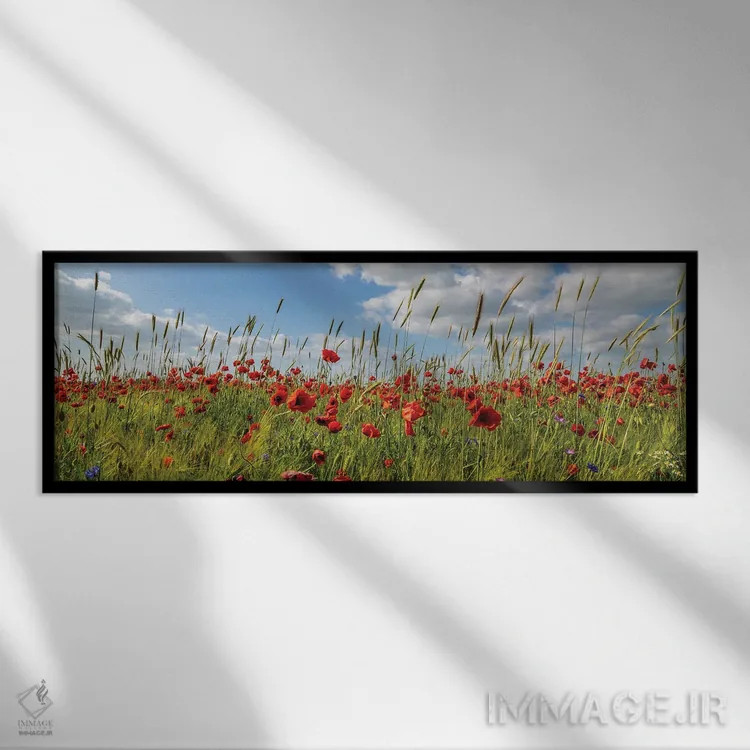 تابلو مزرعه شقایق با ذرت اثر ملانی ویولا - نمای قابدار مشکی