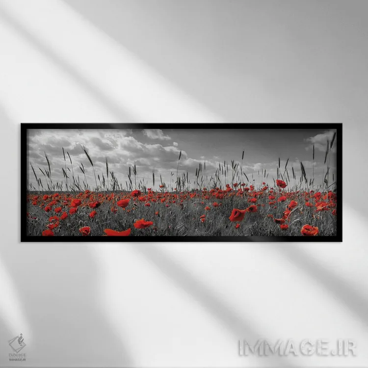 تابلو مزرعه شقایقها | کلید رنگی (Colorkey) اثر ملانی ویولا - نمای قابدار مشکی