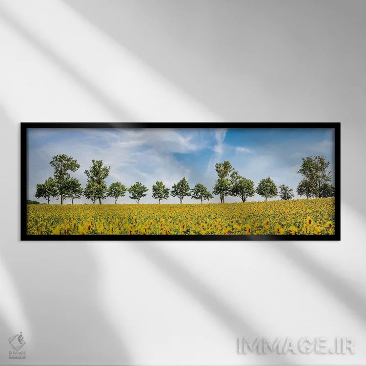 تابلو شگفتی آفتابگردانها اثر ملانی ویولا - نمای قابدار مشکی