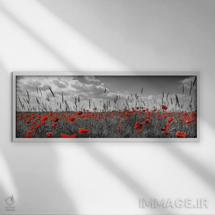 تابلو مزرعه شقایقها | کلید رنگی (Colorkey) اثر ملانی ویولا - نمای قابدار سفید