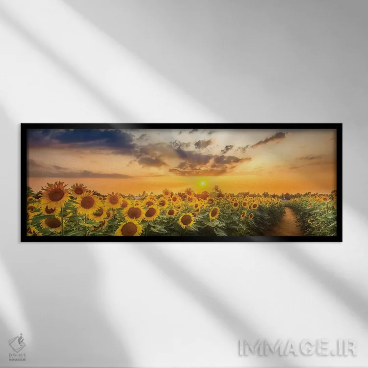 تابلو مزرعه آفتابگردان هنگام غروب | نمای پانوراما اثر ملانی ویولا - نمای قابدار مشکی