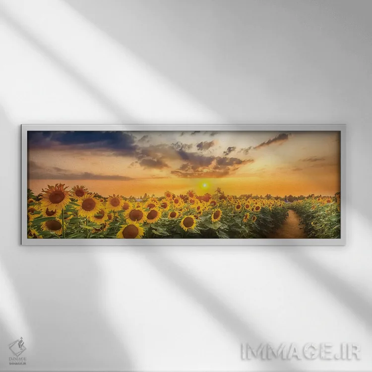 تابلو مزرعه آفتابگردان هنگام غروب | نمای پانوراما اثر ملانی ویولا - نمای قابدار سفید