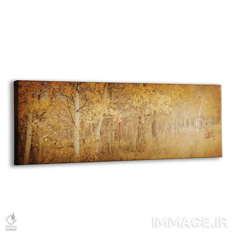 تابلو درختان آسپن پاییزی با برگهای زرد رویاگونه در جنگل اثر نیچر مجیک (برند یا استودیوی هنری) - نمای پرسپکتیو محصول