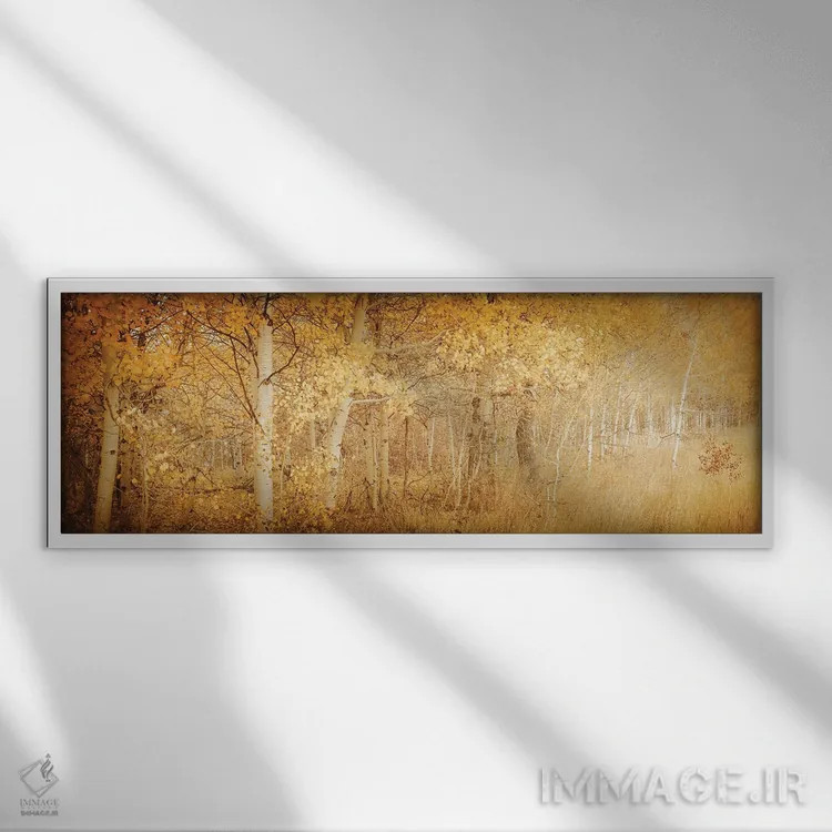 تابلو درختان آسپن پاییزی با برگهای زرد رویاگونه در جنگل اثر نیچر مجیک (برند یا استودیوی هنری) - نمای قابدار سفید