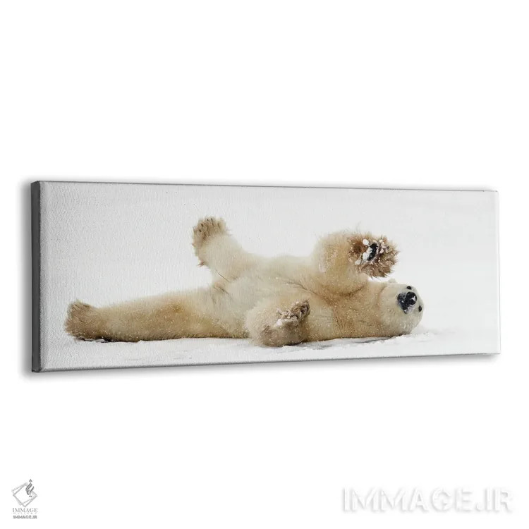 تابلو خرسهای قطبی کانادا ۴۰ اثر میگل لاسا - نمای پرسپکتیو محصول