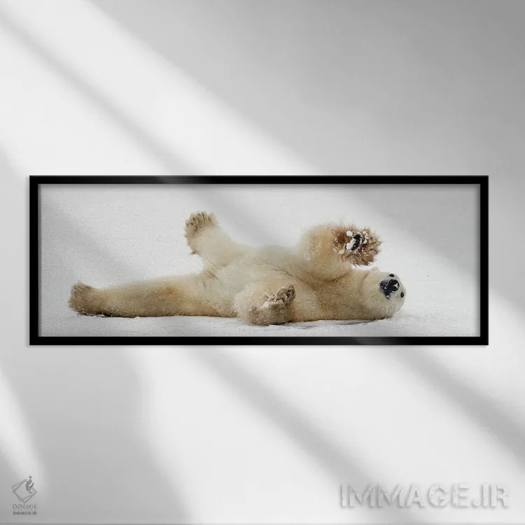 تابلو خرسهای قطبی کانادا ۴۰ اثر میگل لاسا - نمای قابدار مشکی