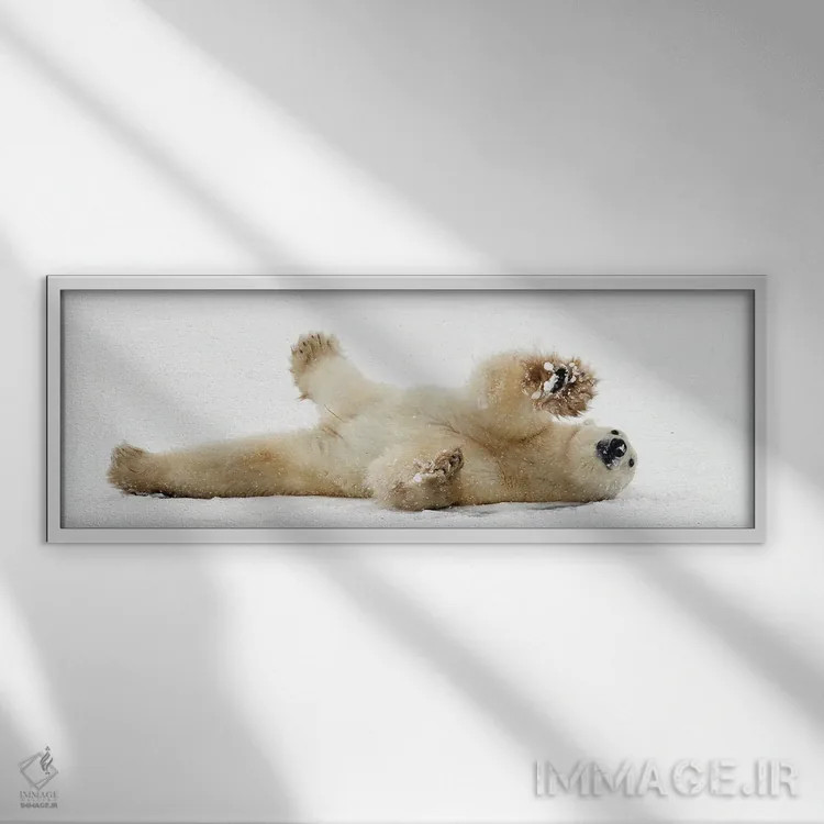تابلو خرسهای قطبی کانادا ۴۰ اثر میگل لاسا - نمای قابدار سفید
