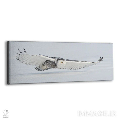 تابلو کانادای برفی ۳ اثر میگل لاسا - نمای پرسپکتیو محصول