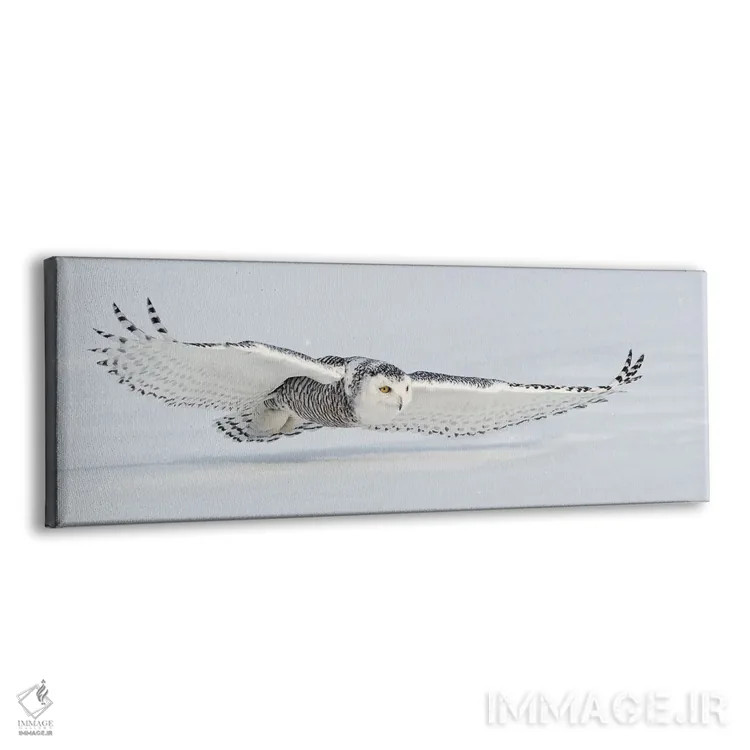 تابلو کانادای برفی ۳ اثر میگل لاسا - نمای پرسپکتیو محصول