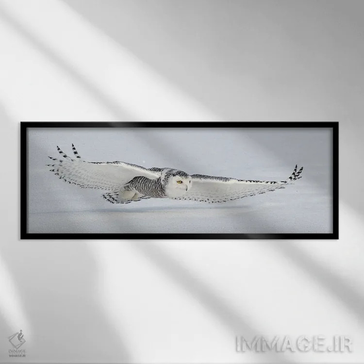 تابلو کانادای برفی ۳ اثر میگل لاسا - نمای قابدار مشکی