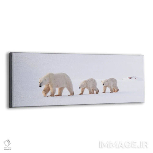 تابلو خرسهای قطبی کانادا ۴۵ اثر میگل لاسا - نمای پرسپکتیو محصول