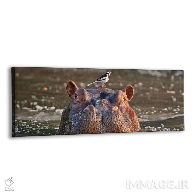 تابلو اثر میگل لاسا - نمای پرسپکتیو محصول