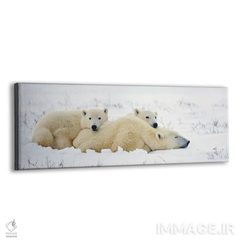 تابلو خرسهای قطبی کانادا ۱۰ اثر میگل لاسا - نمای پرسپکتیو محصول