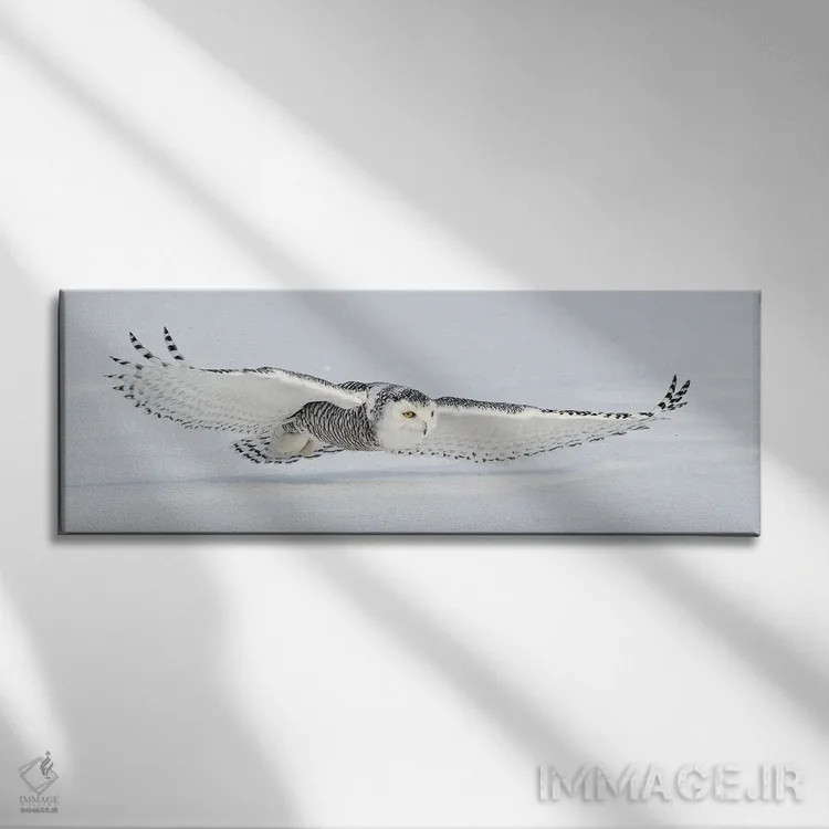 تابلو کانادای برفی ۳ اثر میگل لاسا - نمای روبهرو روی دیوار