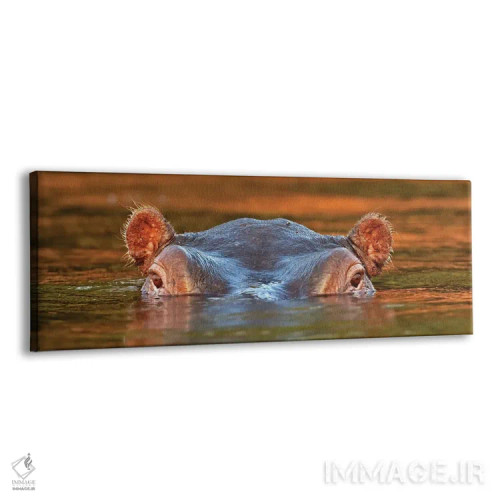 تابلو اثر میگل لاسا - نمای پرسپکتیو محصول