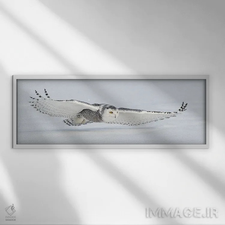 تابلو کانادای برفی ۳ اثر میگل لاسا - نمای قابدار سفید